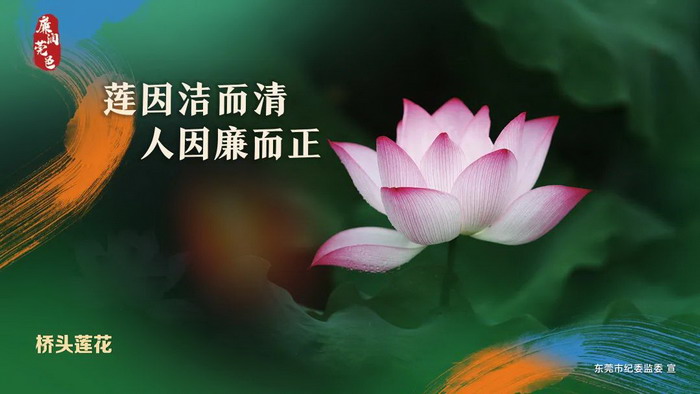 9_调整大小.jpg